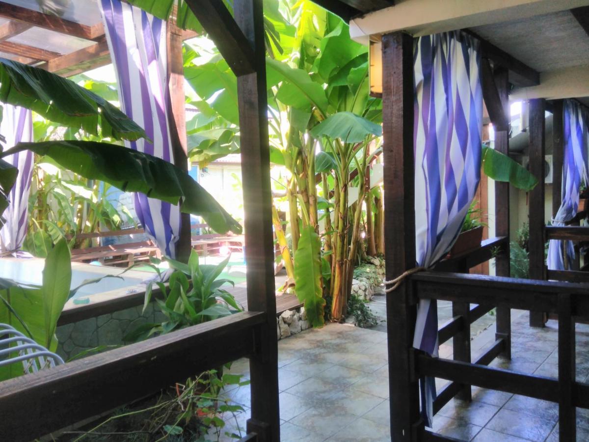 U Palycha Guest House Suchumi Exteriér fotografie